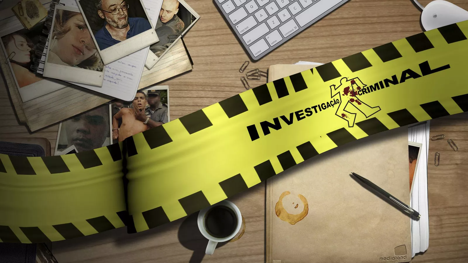 No momento, você está visualizando O DIREITO DO INVESTIGADO A UMA INVESTIGAÇÃO BEM FEITA